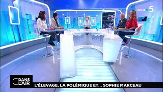 Lélevage la polémique et Sophie Marceau cdanslair 21052018 [upl. by Oruntha]