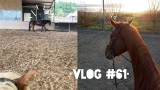 •LEASEN bij SDB en Dal longeren•Vlog 61• [upl. by Coumas]