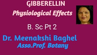 Gibberellins Physiological Effects [upl. by Jenica]