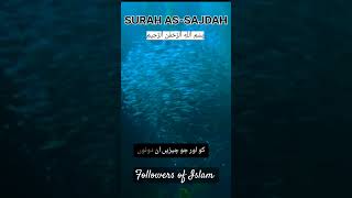 Surah As Sajdah translation followislamfullqurantranslationquranchaptertranslationquranandislam [upl. by Tacye101]