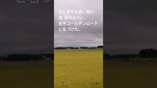 9月中旬にしか見られない美しい風景。 [upl. by Adrianne]