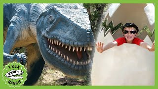 TRex Ranch Dinosaur Dinosaur World Adventures  Jurassic Videos for Kids [upl. by Anitnemelc848]