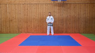 Dan Gun Tul By Simen of Asker Taekwon Do Club [upl. by Tepper740]