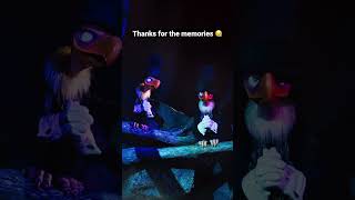 We’ll remember you 💔 splashmountain waltdisneyworld shorts [upl. by Innavoig]