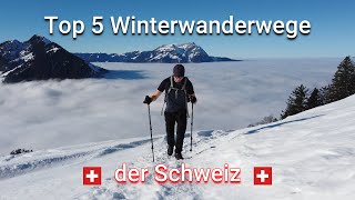 Die 5 schönsten Winterwanderwege der Schweiz [upl. by Skell356]