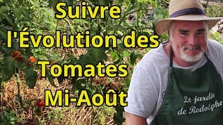 Les Étapes Clés pour Comprendre lÉvolution des Tomates MiAoût [upl. by Ndnarb626]