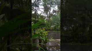 Sorotan 1828  2328 dari Alamraya Ugo sedang live sekarang [upl. by Yrrem892]