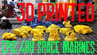 3D PRINTED EPIC 40K SPACE MARINES IN 10MM SCALE  WARHAMMER 40K  MOOSEWORKS PLASTIC SOLDIERS [upl. by Karalynn]