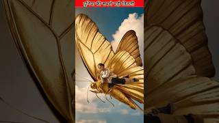 Giant Swallowtail  Worlds Largest Butterfly  Nature Guide shorts facts [upl. by Idonna553]