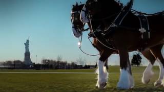 Budweiser Clydesdales 911 Tribute Ad Super Bowl 2011 [upl. by Cooperman]