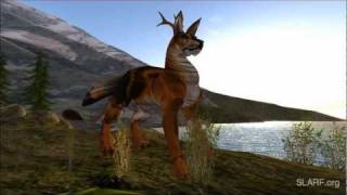 SLARF  Seawolf Gryphon Quad Animations [upl. by Fatma]