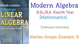 Abelian Groups Example 3  Modern Algebra  BScBA Mathematics Fourth Year TU [upl. by Acinomal]