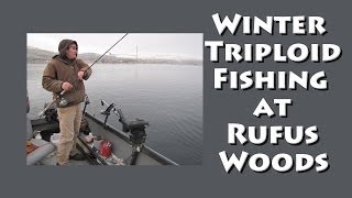 Winter Triploid Fishing at Rufus Woods [upl. by Baxy663]