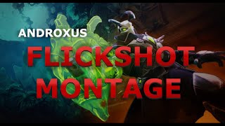 ANDROXUS FLICK SHOT MONTAGE  paladins [upl. by Naejamron803]