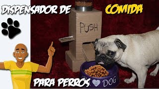 Dispensador De Comida Para Perros Automático Casero ¡Consiente a Tu Mascota [upl. by Ripp]