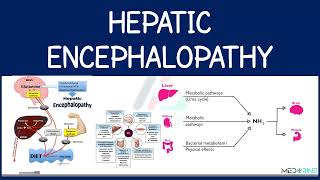 Hepatic Encephalopathy  portal systemic encephalopathy Explained [upl. by Atiuqes]