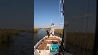 Huge fish destroys my rod redfish redfish fishingmemes fishingtrip blowup [upl. by Enajharas]