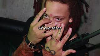 Trippie ReddLove Sick sub español [upl. by Adan806]