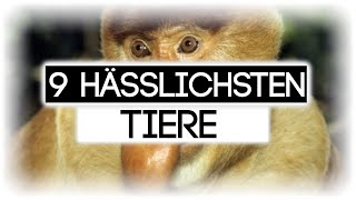 DIE 9 HÄSSLICHSTEN TIERE DER WELT [upl. by Ainola]