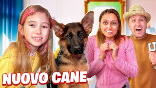 REGALIAMO UN NUOVO CUCCIOLO DI CANE A GIORGIA [upl. by Ahsitak]