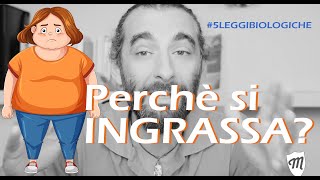 Perchè si INGRASSA 5leggibiologiche [upl. by Ybsorc]