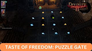 Divinity Original Sin 2  Mordus Basement Puzzle Taste Of Freedom [upl. by Anais]