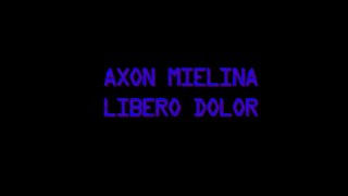 5 AXON MIELINA Libero Dolor  NEURONAS  HEMISFERIO DERECHO [upl. by Rolyks]