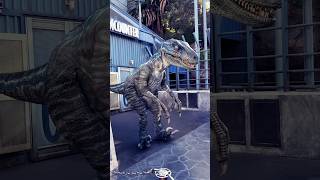 Universal Studios Hollywood l Jurassic ParkBlue Raptor l em Khủng Long trong phim Jurassic shorts [upl. by Ahras]