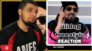 Blidog  Freestyle Reaction [upl. by Novyert631]