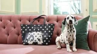 Introducing 101 Dalmatians x Cath Kidston [upl. by Offen]