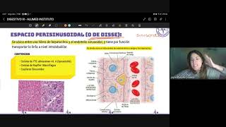 Histología y Función del Hígado vesícula bilias y glandulas salivales  Instituto Alumed [upl. by Virgina631]