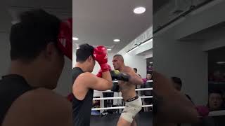 Boxer goes toetotoe with UFC champ Alex Pereira during a South Korea gym session 😳 Boxing MMA [upl. by Eirojam]