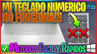 ERROR No Funciona el TECLADO NUMERICO de mi Laptop Windows ⌨️ SOLUCION para activar teclas y números [upl. by Oesile201]