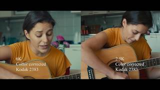 Blackmagic pocket 6k vs Blackmagic cinema 25K comparison [upl. by Nimra]