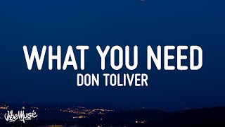 Don Toliver  What You Need Lyrics [upl. by Eessej]