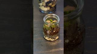 How To Make A Tiny Terrarium terrariummaking terrarium terrariumdesign [upl. by Alleirbag]