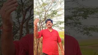 Amjad Khan ka dialogueacting Ashok allahabadiyoutubeshorts comedy funny bollywood [upl. by Dionne176]