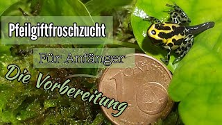 Pfeilgiftfroschzucht für Anfänger  Teil 1  die Vorbereitung [upl. by Yliak33]