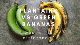 PLANTAINS VS GREEN BANANAS  Whats the difference LEO TUNAPIKA [upl. by Damas]