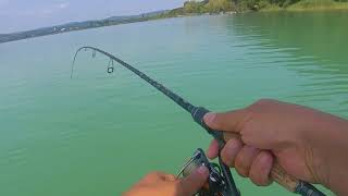 Balatoni felszíni balinok  Topwater lure asp strikes from Lake Balaton [upl. by Sidwel]