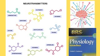 BRS Physiology  Neurotransmitters [upl. by Nigen]