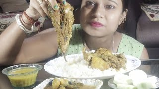 Big Bites Eating Rice With Chicken Kosha Chitol Fish CurryDalSalad mukbang eating eatingshow [upl. by Aioj]