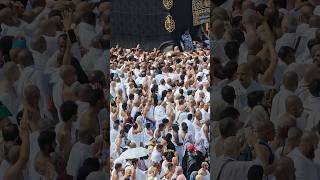 Kaaba Live🔴 Today  10 November 2024  tawafekaaba kaabalive ytshorts original makkahofficial [upl. by Sivram]