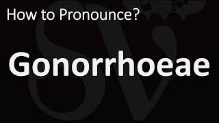 How to Pronounce Gonorrhoeae CORRECTLY [upl. by Aneleasor]