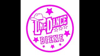 Memory Lanes Paartanz Partner Dance Line Dance Lernvideo Teach amp Dance Line Dance Biene Teil 2 [upl. by Kerril]