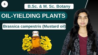 Economic Botany  OILYIELDING PLANTS Brassica campestris Mustard oil  B Sc amp M Sc [upl. by Elleoj]