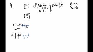 Ejercicio 4 Boletín 1 Genéticoa [upl. by Pember962]