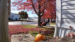 Craftsman T110 Riding Tractor With BaggerBP510 BackPack Blower Blowing leaves and Mowing Part 3 [upl. by Pinckney]