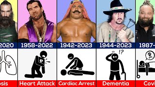 Recent WWE Wrestlers Deaths [upl. by Aisel]