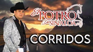 El Potro De Sinaloa  Puros Corridos Para La Raza Pesada Mix 2024 [upl. by Ayom855]